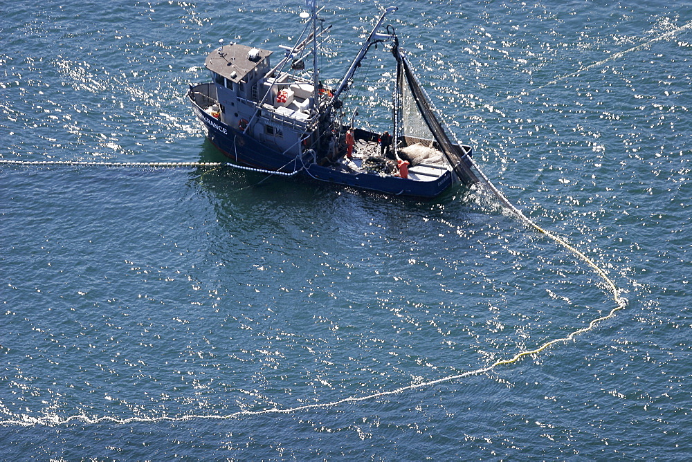 Aerial view of the purse-seiner fishery for salmon off Point Augustus, Chichagof Island, Southeast Alaska, USA. Closing the purse.   (RR)