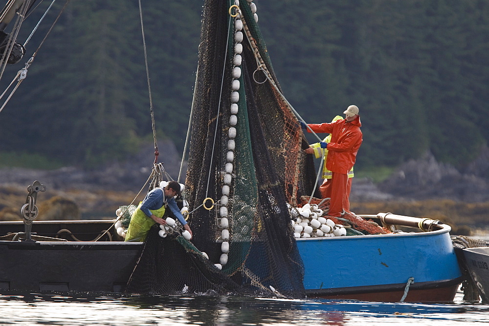 A close up view of a purse seine salmon set in Chatham Strait, Southeast Alaska, USA. Pacific ocean. No model or property releases.