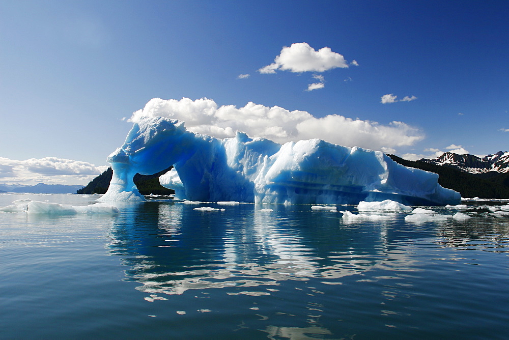 Icebergs calved from the LeConte Glacier just outside Petersburg, Southeast Alaska, USA. Pacific Ocean.