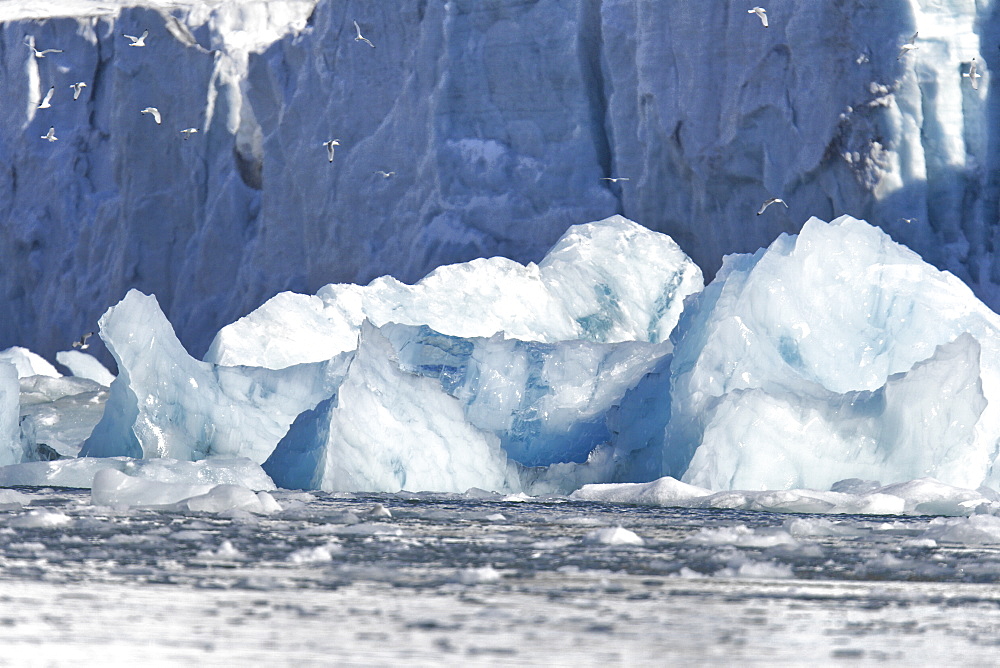 A huge shooter of ice calved from under the Storpollen Glacier, on the southwestern side of Spitsbergen Island in the Svalbard Archipelago, Barents Sea, Norway.