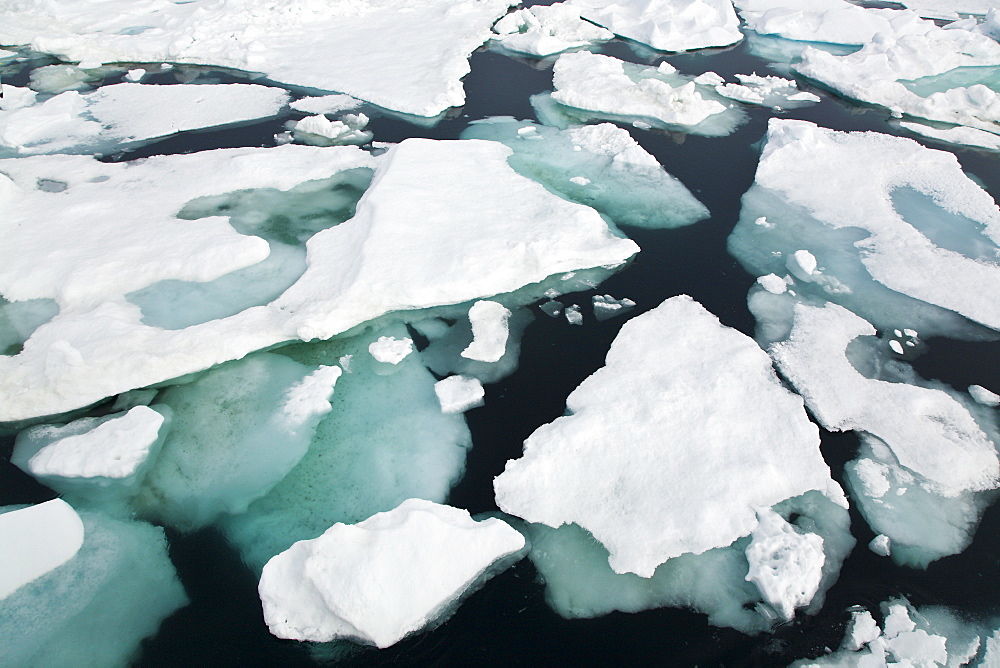 Open leads surrounded by multi-year ice floes in the Barents Sea between EdgeØya (Edge Island) and Kong Karls Land in the Svalbard Archipelago, Norway.