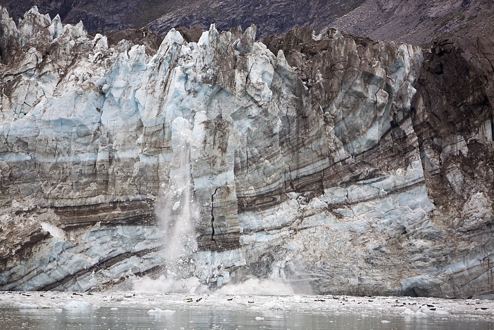 Johns Hopkins Glacier calving in Glacier Bay National Park, Southeast Alaska, USA. Pacific Ocean. Harbor Seals (Phoca vitulina) often rest on icebergs in front of the glacier face.