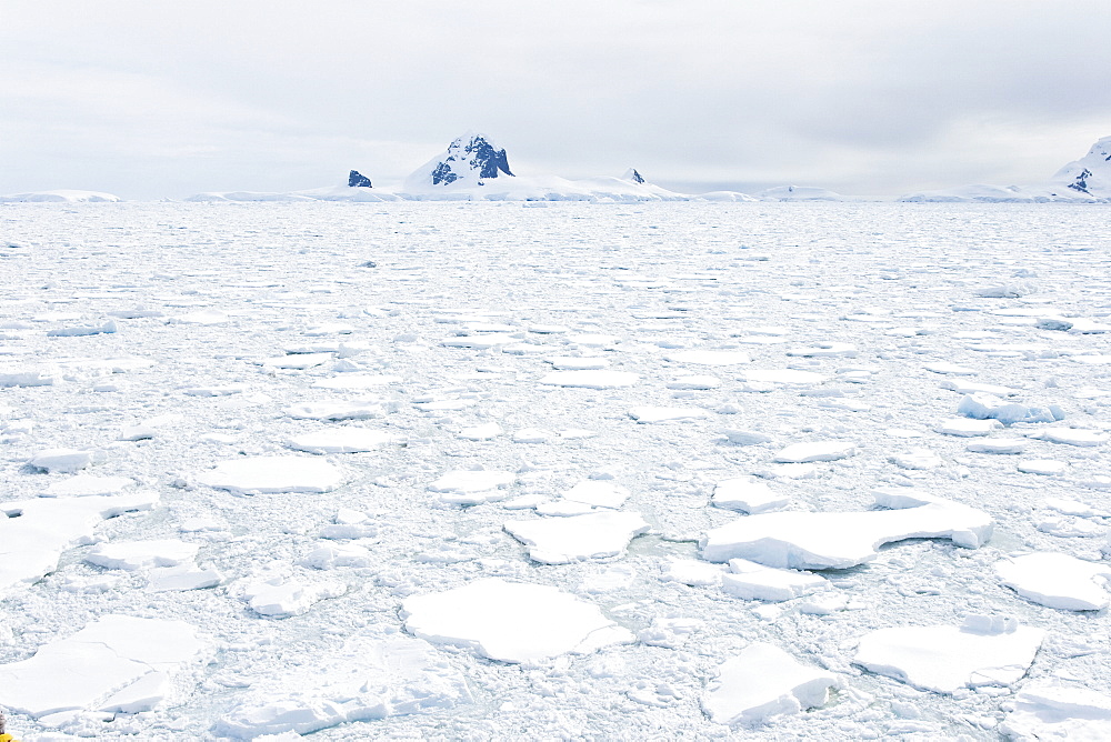 Multi-year ice floes and brash ice near the Antarctic Peninsula.