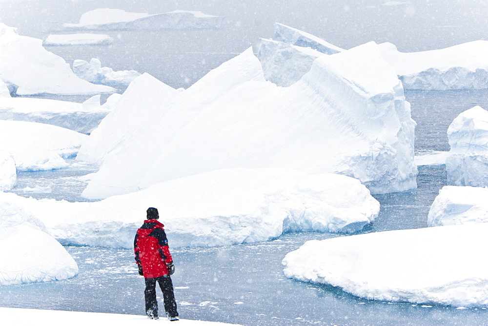 Lindblad Expeditions guests in snowstorm viewing icebergs on Petermann Island in Antarctica as part of expedition travel. NO MODEL RELEASES FOR THIS IMAGE.