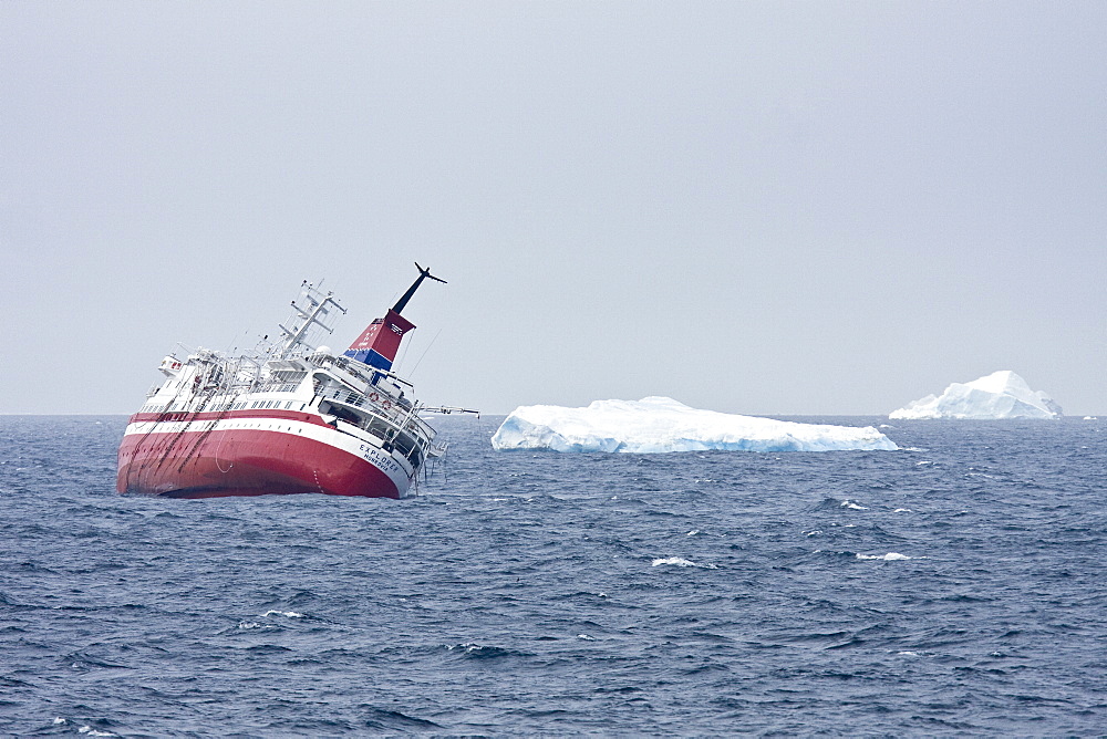 Images of the rescue of 154 people from the sinking expedition ship Explorer in Antarctica