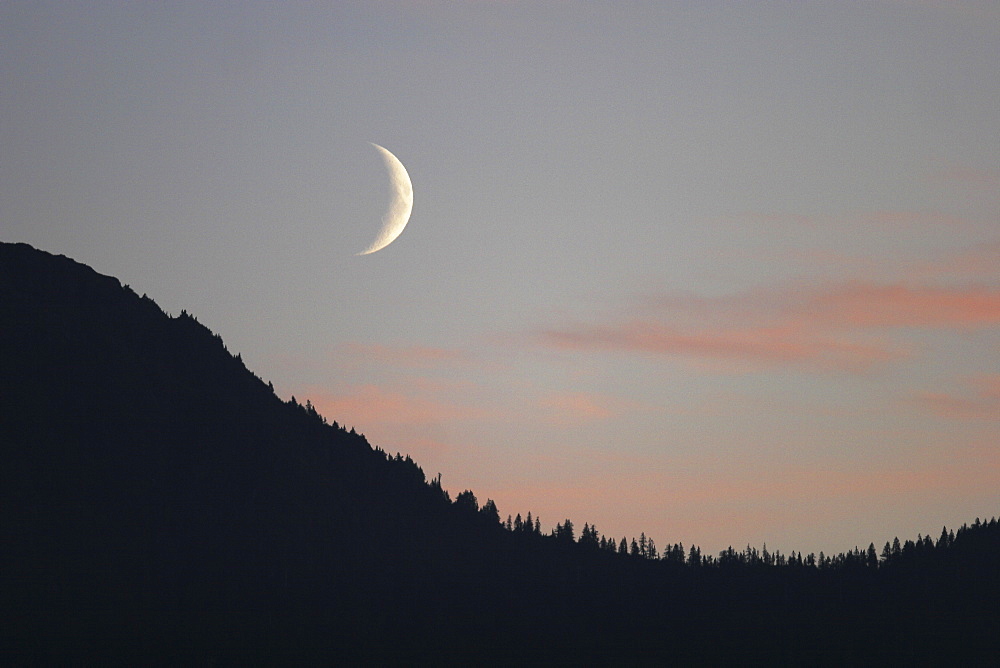 A waxing moon over the Tongas National forest in Southeast Alaska, USA.