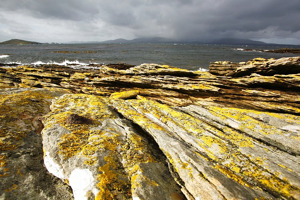 Storm-tossed seas on the shore on Carcass Island on the west side of the Falkland Islands.