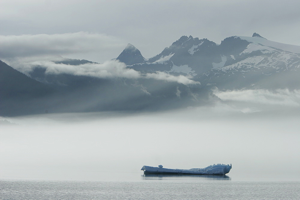 Icebergs and bergy bits that have calved off the Sawyer tidewater Glacier in Tracy Arm, Southeast Alaska, USA.