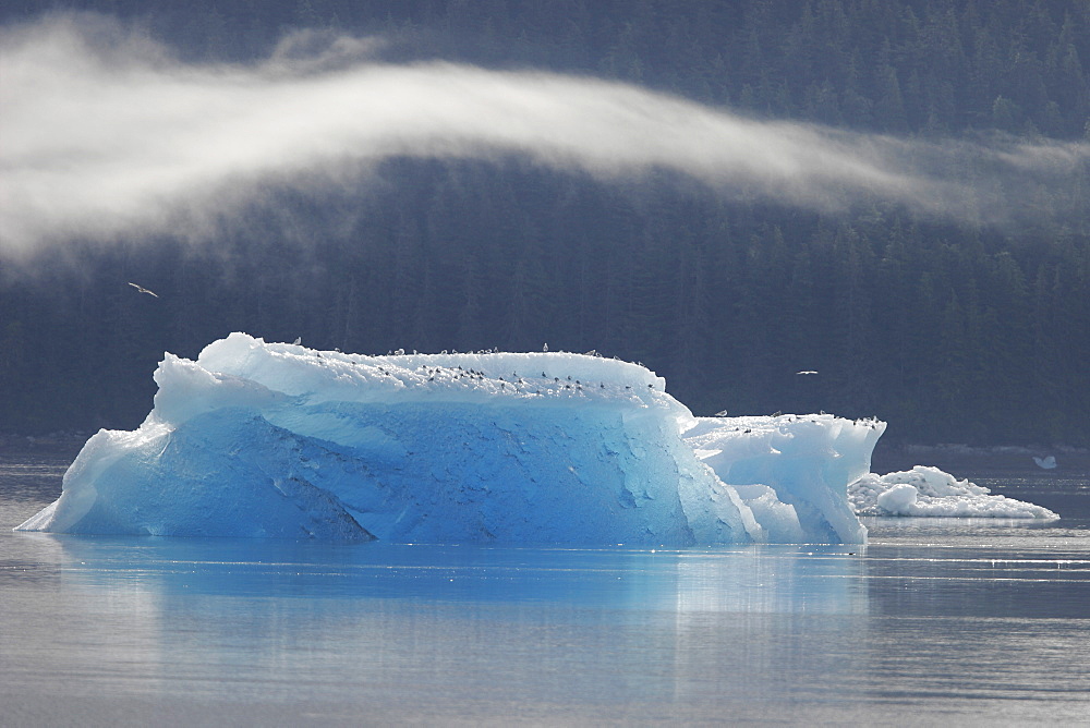 Icebergs and bergy bits that have calved off the Sawyer tidewater Glacier in Tracy Arm, Southeast Alaska, USA.