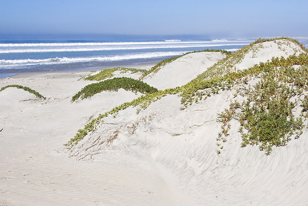 Patterns in the sand dunes of Isla Magdalena on the Pacific side of the Baja Peninsula, Baja California Sur, Mexico.