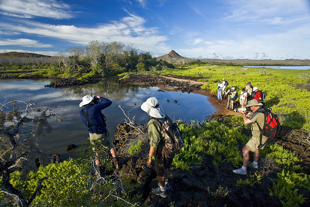 Sunrise light on a brackish lagoon near Cerro Dragon (Dragon hill) on Santa Cruz Island in the Galapagos Island Archipeligo, Ecuador. Pacific Ocean.