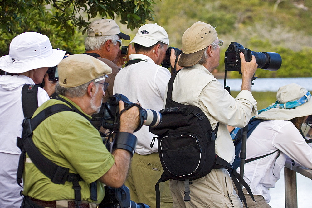 Lindblad Expeditions Guests eager to photograph flamingos on Floreana Island in the Galapagos Island Archipeligo, Ecuador. No model releases.