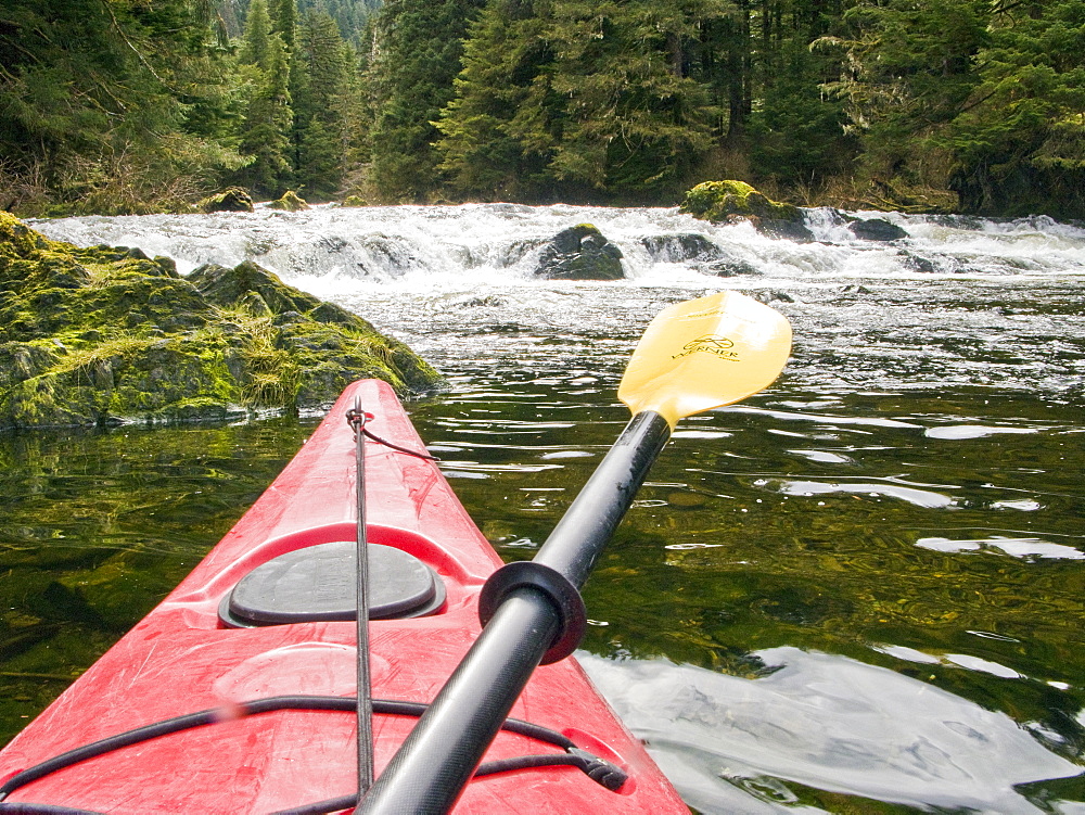 Lindblad Expedition guests and staff from the National Geographic Sea Lion kayaking in Southeast Alaska, USA in the late spring.