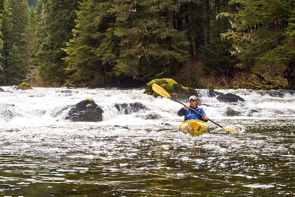 Lindblad Expedition guests and staff from the National Geographic Sea Lion kayaking in Southeast Alaska, USA in the late spring.