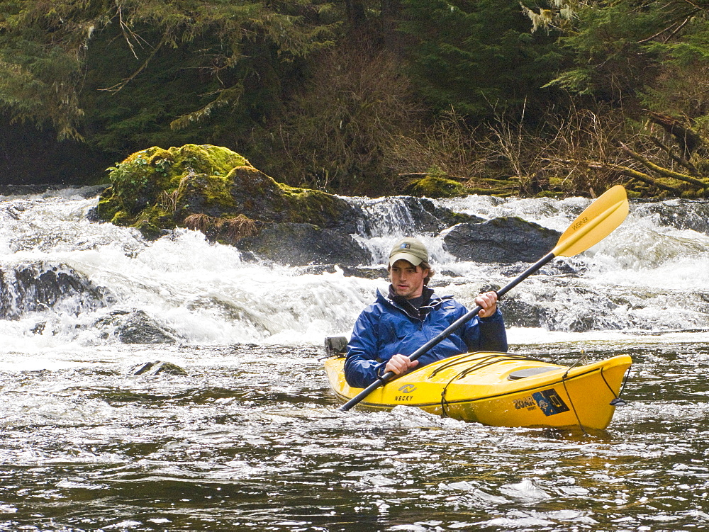 Lindblad Expedition guests and staff from the National Geographic Sea Lion kayaking in Southeast Alaska, USA in the late spring.