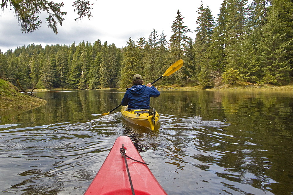 Lindblad Expedition guests and staff from the National Geographic Sea Lion kayaking in Southeast Alaska, USA in the late spring.