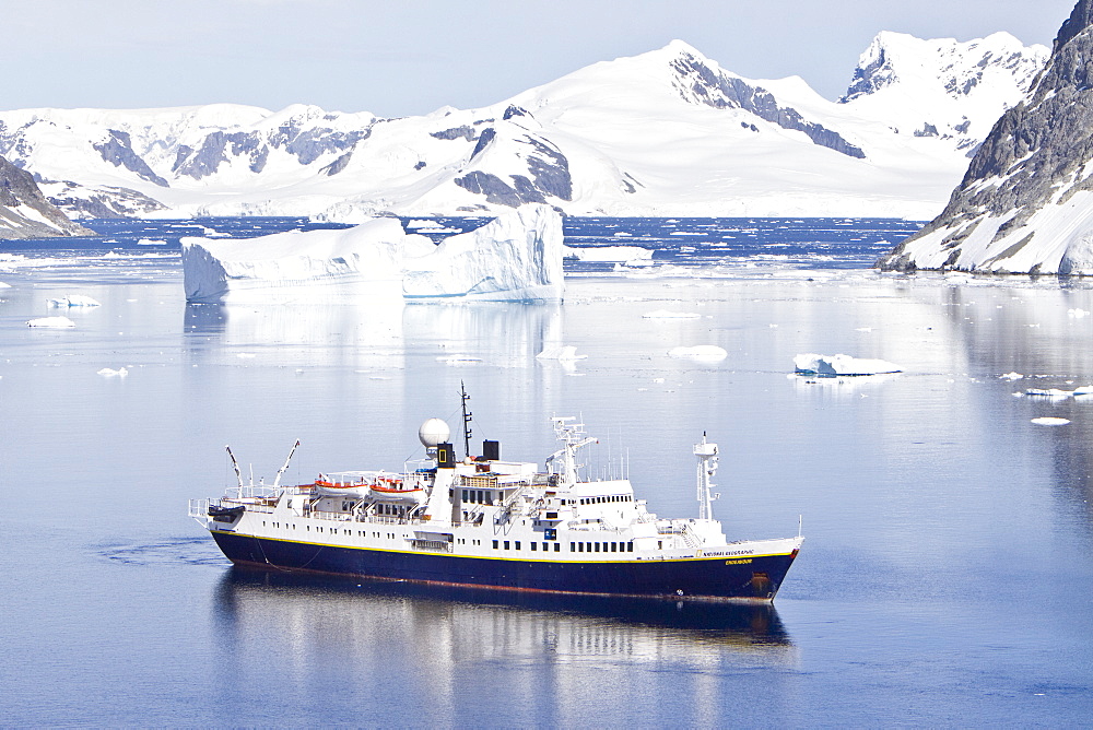 The Lindblad Expedition ship National Geographic Endeavour operating in and around the Antarctic peninsula in Antarctica