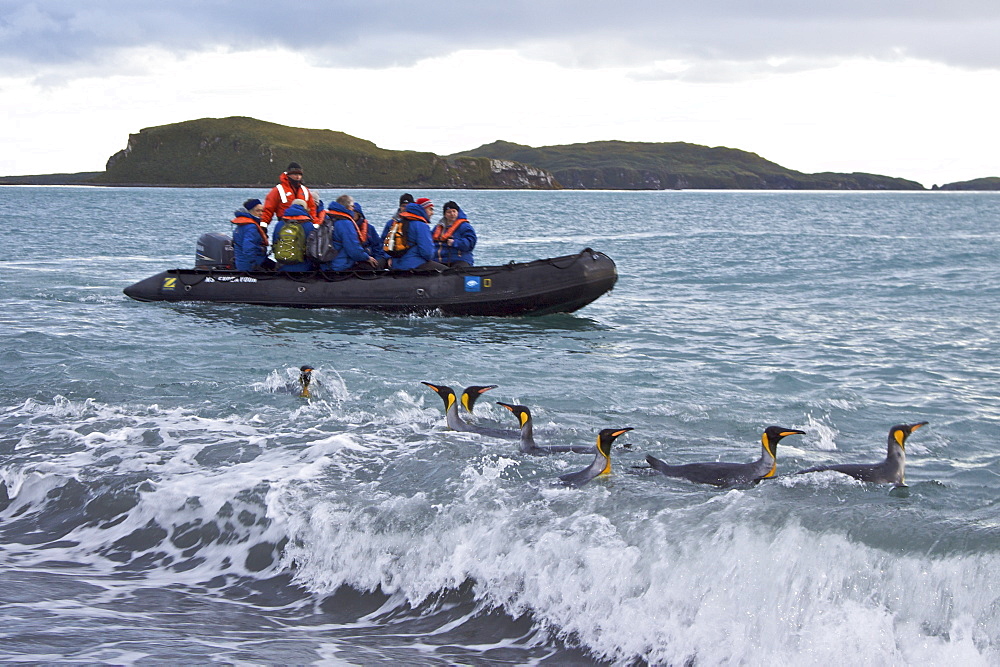 The Lindblad Expedition ship National Geographic Endeavour operating in and around South Georgia, Southern Ocean