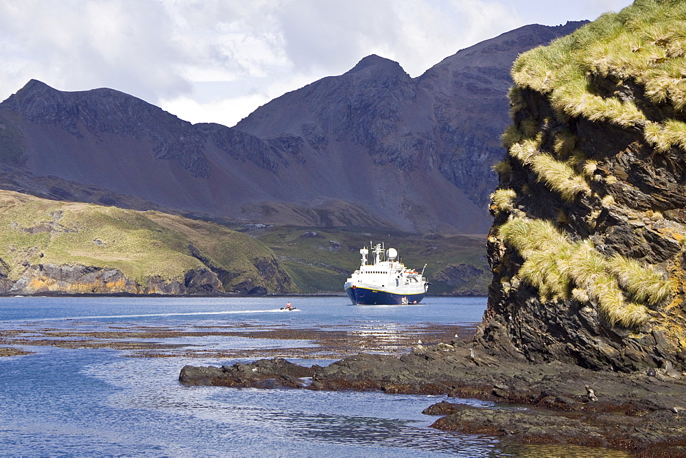 The Lindblad Expedition ship National Geographic Endeavour operating in and around South Georgia, Southern Ocean