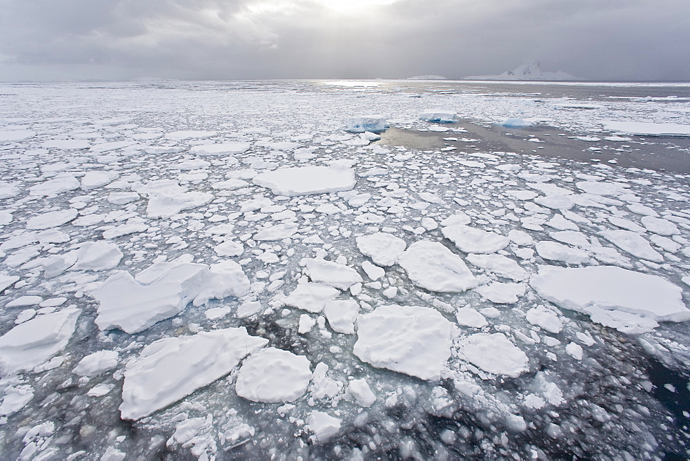 The Lindblad Expeditions ship National Geographic Explorer pushes through ice in Crystal Sound, south of the Antarctic Circle