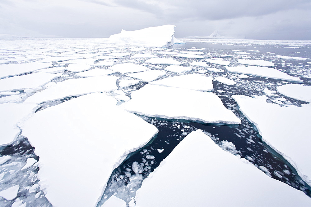 The Lindblad Expeditions ship National Geographic Explorer pushes through ice in Crystal Sound, south of the Antarctic Circle