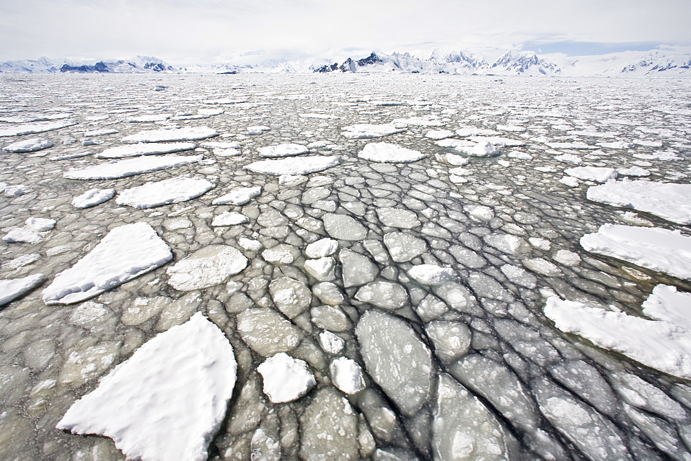 The Lindblad Expeditions ship National Geographic Explorer pushes through ice in Crystal Sound, south of the Antarctic Circle