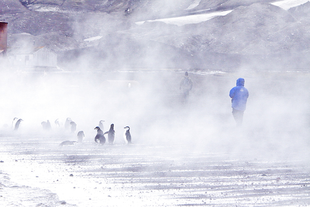 Views of Deception Island, an island in the South Shetland Islands off the Antarctic Peninsula which has one of the safest harbours in Antarctica.