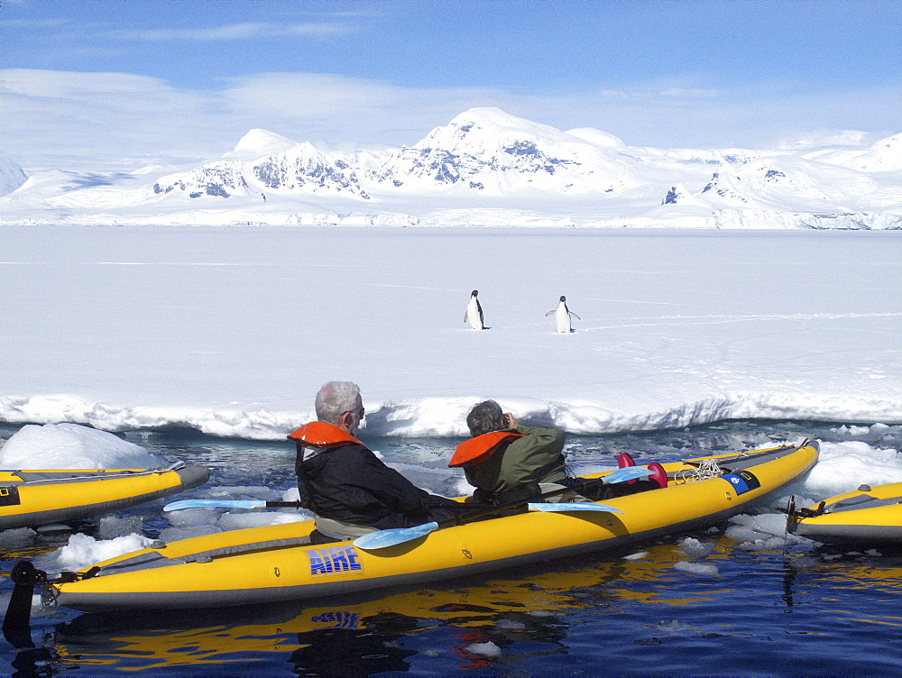 Guests from the Lindblad Expedition ship National Geographic Explorer kayaking in and around the Antarctic Peninsula in the summer months.