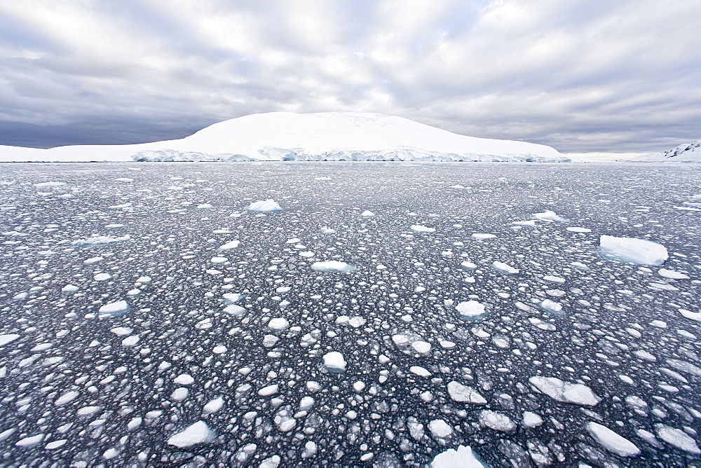 The Lindblad Expedition ship National Geographic Explorer transits Lemaire Channel in late evening light on the west side of the Antarctic peninsula in Antarctica