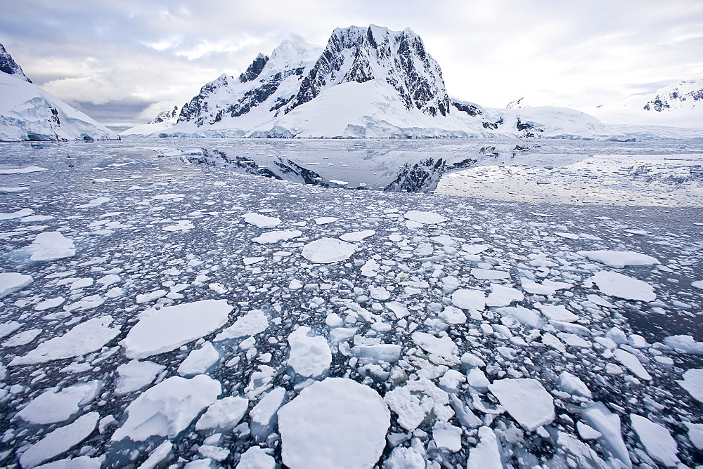 The Lindblad Expedition ship National Geographic Explorer transits Lemaire Channel in late evening light on the west side of the Antarctic peninsula in Antarctica