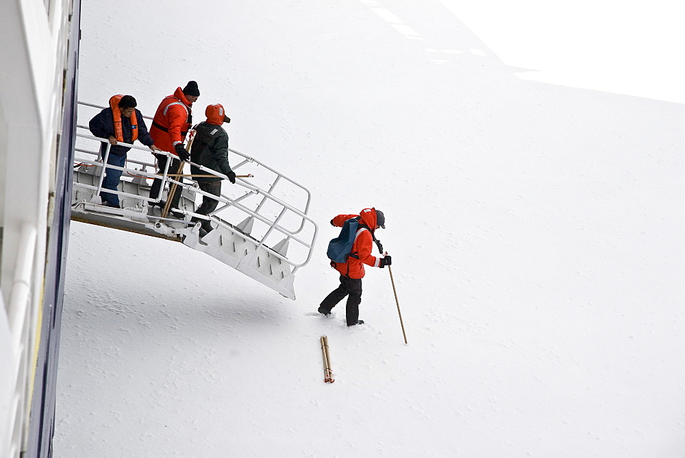 Natural history staff from the Lindblad Expedition ship National Geographic Explorer doing various things in and around the Antarctic Peninsula