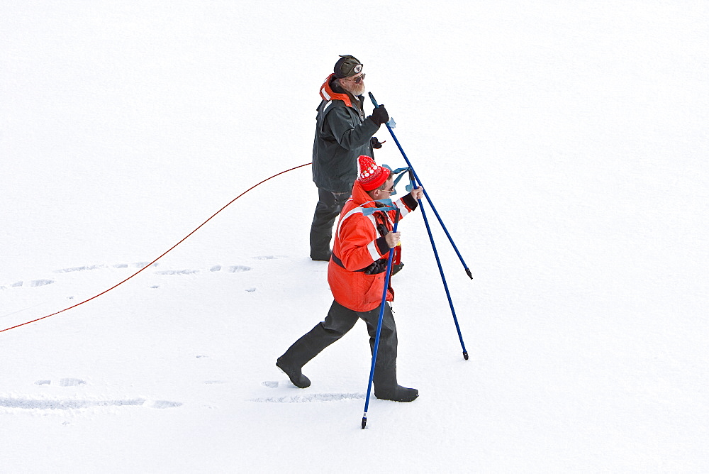 Natural history staff from the Lindblad Expedition ship National Geographic Endeavour doing various things in and around the Antarctic Peninsula