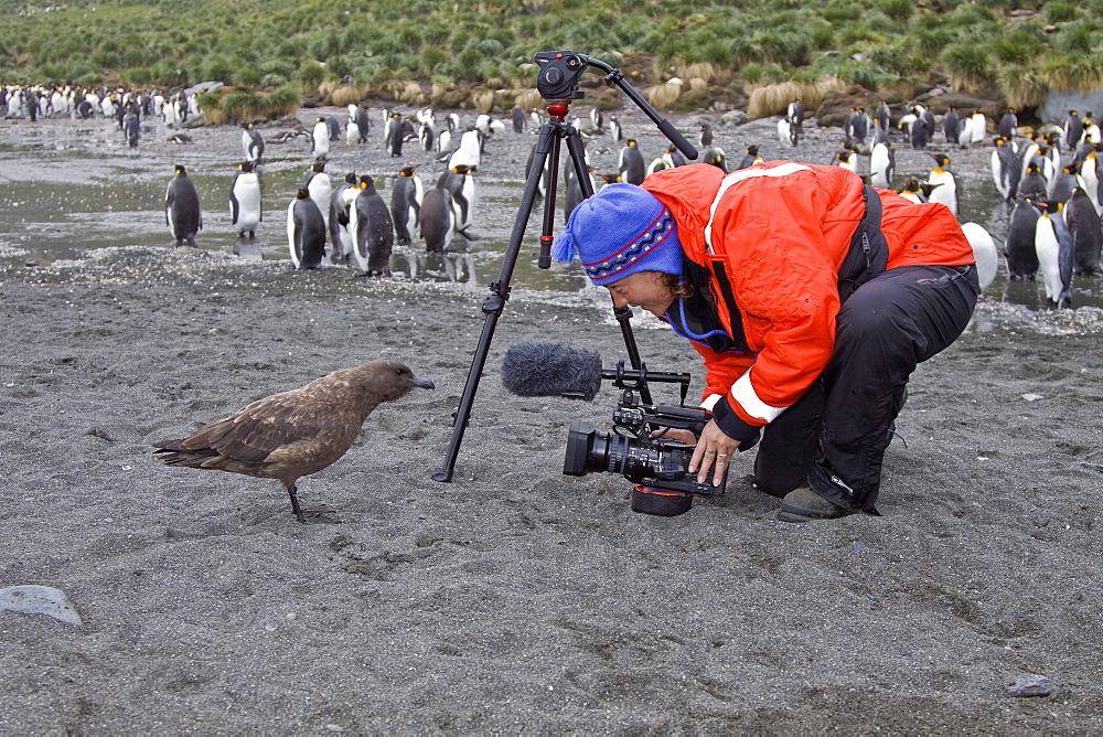 Natural history staff from the Lindblad Expedition ship National Geographic Explorer doing various things in and around the Antarctic Peninsula