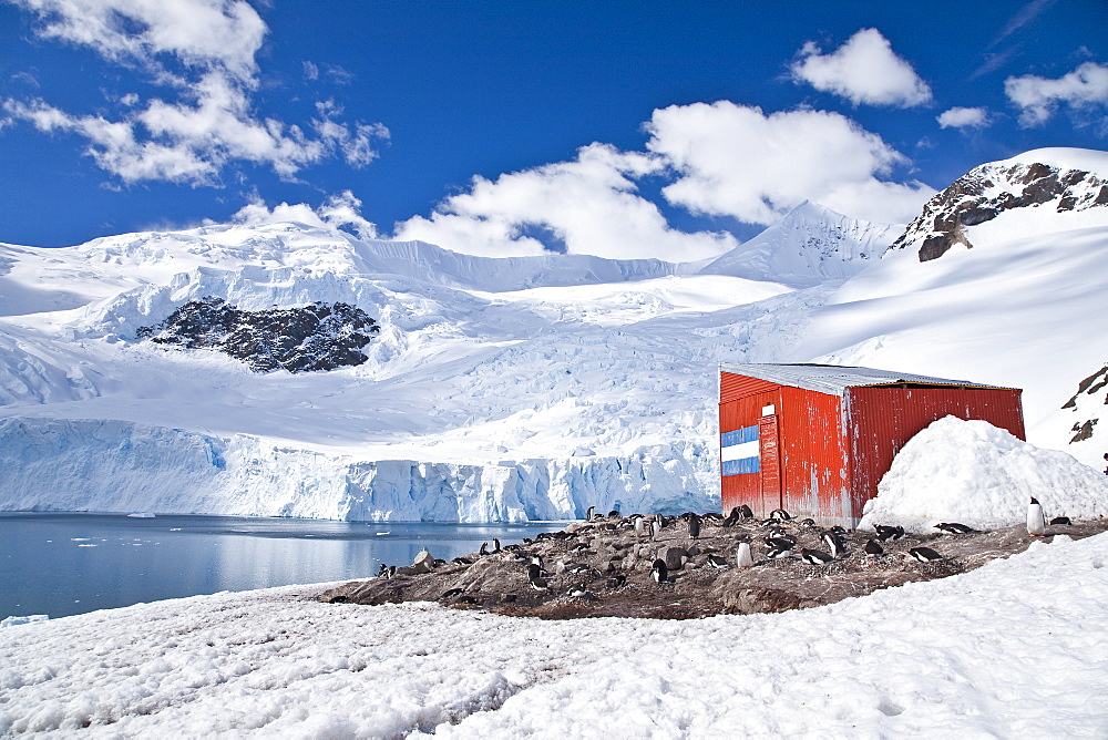 The Lindblad Expedition ship National Geographic Explorer operating in Neko Harbour, Antarctica