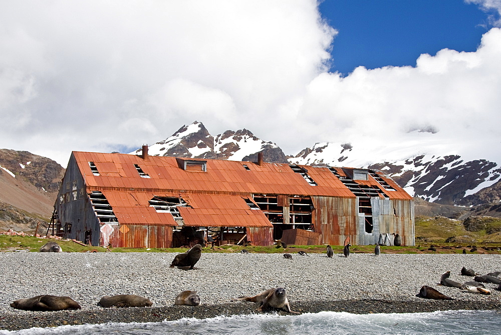 Views of Stromness Whaling Station, South Georgia Island in the Southern Ocean, Antarctica