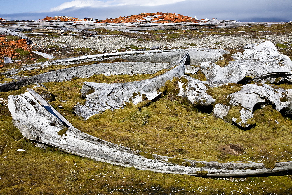 A view of the abandoned bowhead whaling station with bones strewn about in Hornsund (Horn Sound) on the southwestern side of Spitsbergen Island in the Svalbard Archipelago, Barents Sea, Norway.