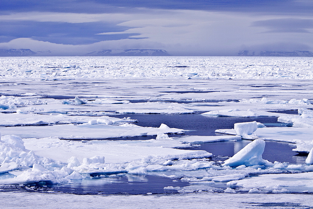 Open leads surrounded by multi-year ice floes in the Barents Sea between EdgeÃ¸ya (Edge Island) and Kong Karls Land in the Svalbard Archipelago, Norway.