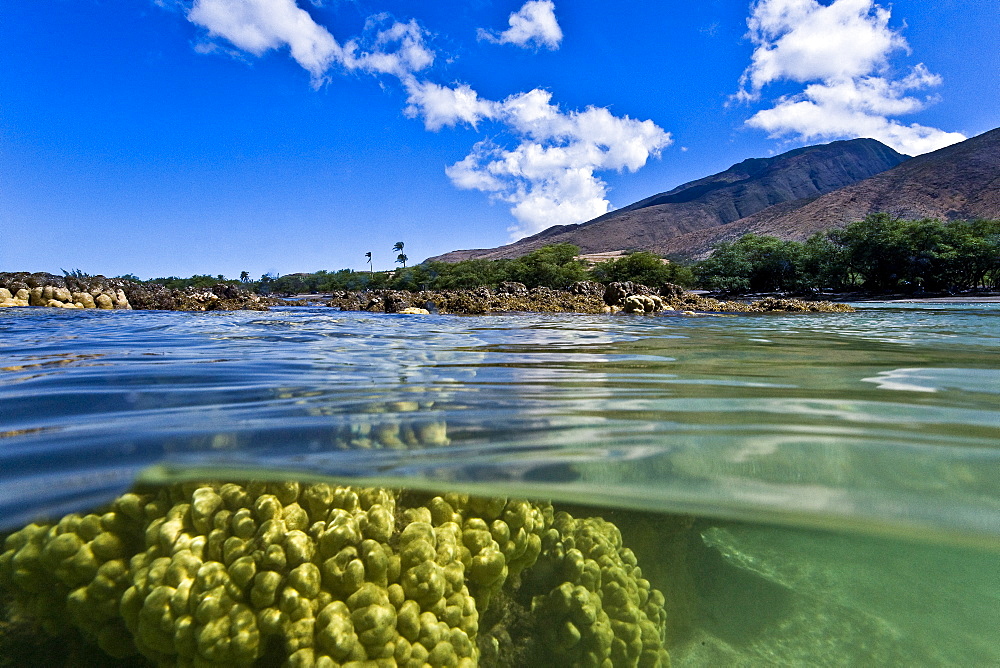 Half undewater and half above water view of Olowalu Reef on the west side of the island of Maui, Hawaii, USA. 