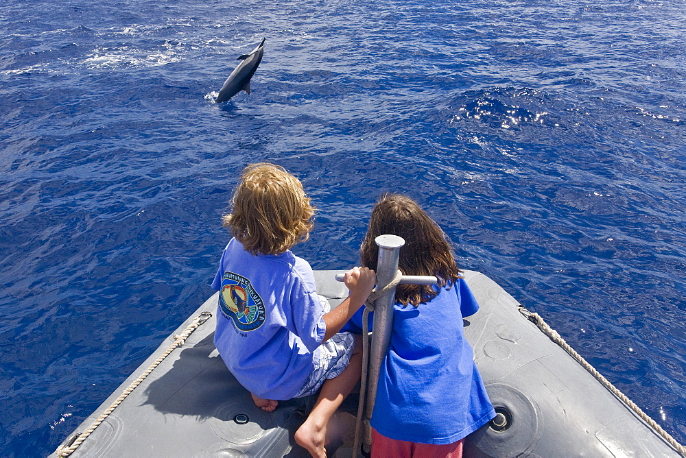 Hawaiian Spinner Dolphin (Stenella longirostris) spinning with young boaters off the coast of Maui, Hawaii, USA. Pacific Ocean