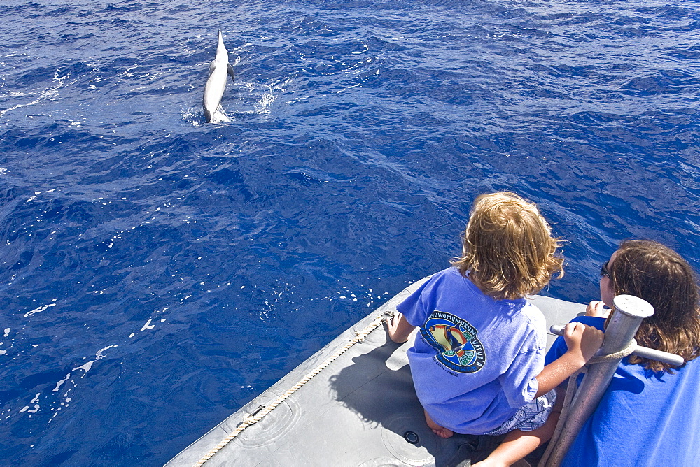 Hawaiian Spinner Dolphin (Stenella longirostris) spinning with young boaters off the coast of Maui, Hawaii, USA. Pacific Ocean