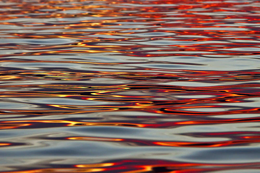 Surreal patterns form in calm waters at sunset in the Gulf of California (Sea of Cortez), Baja California Norte, Mexico.