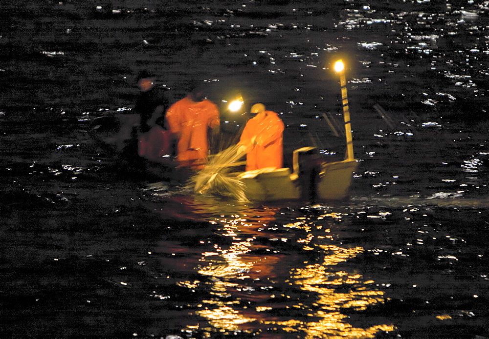 Night fishery for Humbolt Squid (Dosidicus gigas) in the Gulf of California (Sea of Cortez) waters just outside Santa Rosalia, Baja California Sur, Mexico