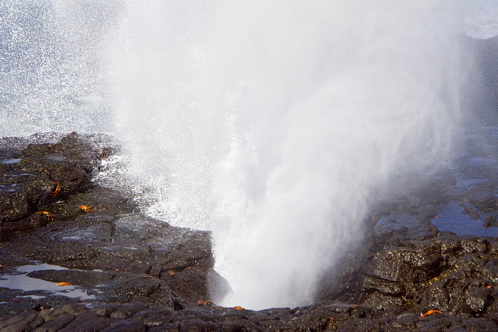 Fun and interesting scenery in the Galapagos Island Archipeligo, Ecuador. Pacific Ocean.