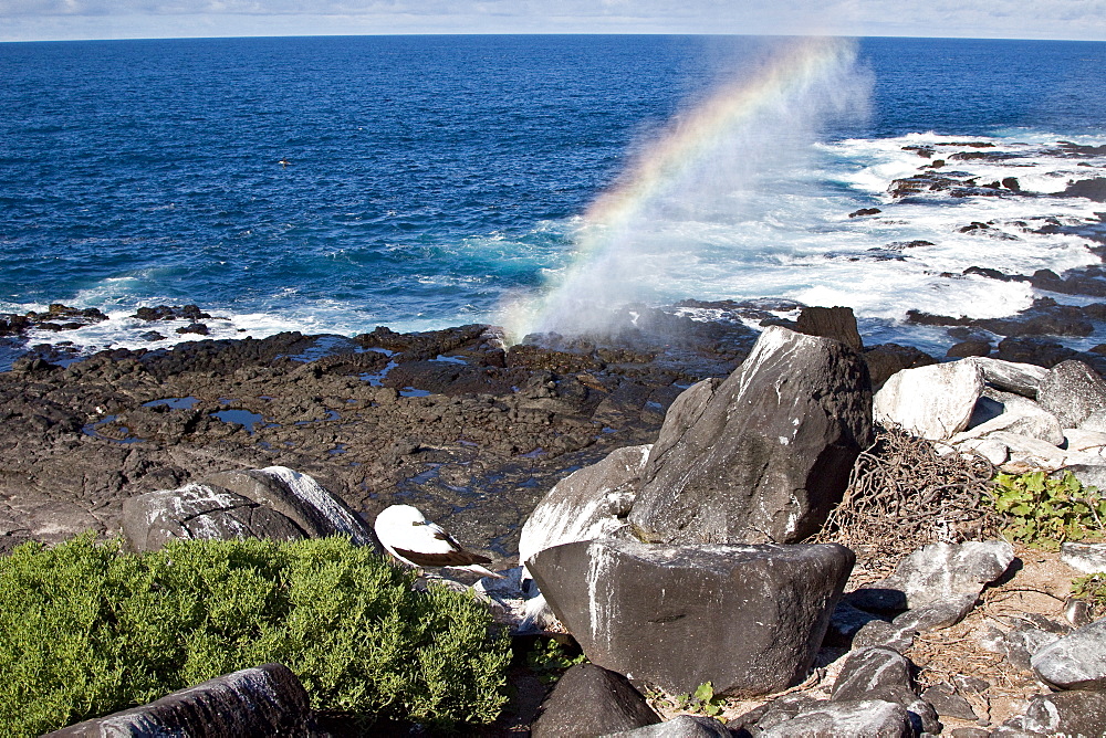 Fun and interesting scenery in the Galapagos Island Archipeligo, Ecuador. Pacific Ocean.