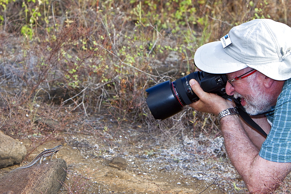 Photographer taking an image of a lava lizard (Microlophus spp) in the Galapagos Island Archipelago, Ecuador