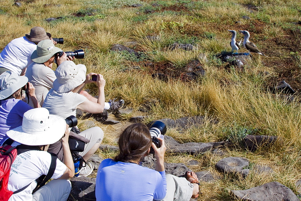 Lindblad Expeditions Guests doing fun and exciting things in the Galapagos Island Archipeligo, Ecuador. No model releases.