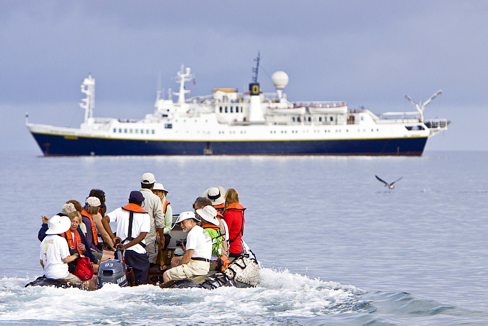 The Lindblad Expedition ship National Geographic Endeavour and its Zodiac fleet operating in the Galapagos Islands, Ecuador, Pacific Ocean.