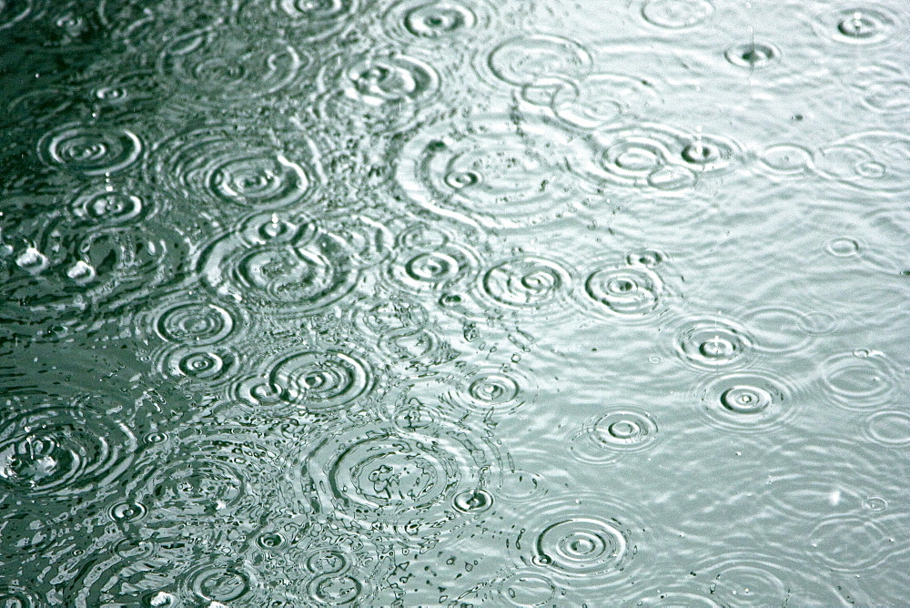 Rain drops on the sea in Southeast Alaska, USA. Pacific Ocean.