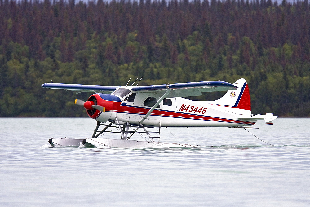 Small float planes being used to shuttle bear watchers between the town of King Salmon and a bear watching lodge at Brooks Camp in Katmai National Park, Alaska, USA. Pacific Ocean.