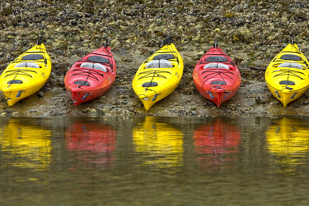 Kayaking from the Lindblad Expedition ship National Geographic Sea Lion in the fog in Tracy Arm in Southeast Alaska, USA. Pacific Ocean. No model or property release available for this photograph.